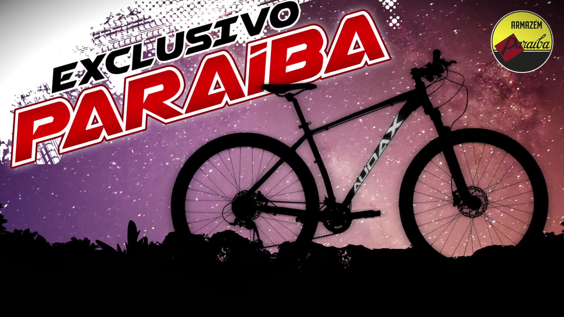 Vt 10s - Bikes Audax Non Series